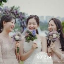 프라움악기박물관 이미지