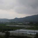 윈온마케팅