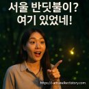 생태연구소풀잎 | 서울에 반딧불이가? 🌟 청계천 반딧불이 체험, 여름밤 이색 데이트 코스 추천!
