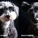 깨비하우스 이미지