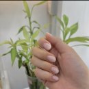 네일콤마샵네일;#