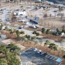 목계숲 2 이미지