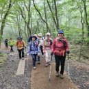 오라호스텔 | 한라산, 사라오름 등반 후기 (하늘이여! 한라산 백록담 등반을 허락하소서!) (2024. 05. 11~ 12)