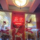 차이나연경 이미지