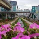 해반천로 이미지