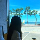 설보리