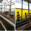 평창흰구름산촌마을 이미지