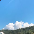 울산 퀵 서비스 이미지