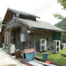 종대농장 이미지