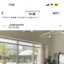 도그바게트 이미지