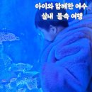 [여수 수산과학관·아쿠아플라넷] 아이랑 여수 실내 나들이 완전 비교 후기 🐠🐋