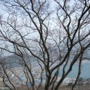 외연도둘레길 이미지