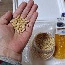 진호농장 이미지