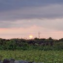 하우목길52 이미지