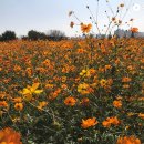 수동농장 이미지