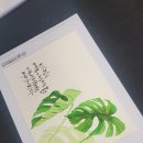 수채캘리그라피 Daum카페