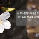 송주불냉면 방화점 이미지