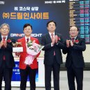 드림인사이트