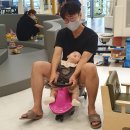 슈슈봉봉 이미지