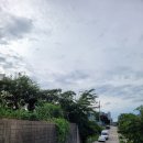사주 안믿는 사람이 본 점사 후기 아산용한점집 반야선원