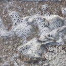 석양마을주포 | 돌머리해수욕장 차로 4분, 바로 앞 갯벌! 석양마을 주포캠핑장 &amp; 펜션/ 아이와 가볼만한 곳 / 2024 남도...