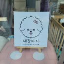 이쁘당개 애견샵 | [구리시갈매동]뽀송뽀송 애견미용,탄산스파 전문 내강아지 애견미용샵