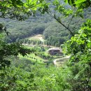 울산수목원 티스토리