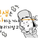 12월 23일 신문을통해 알게된 얘기들 이미지