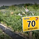 시원농장 이미지