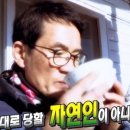 영지카센타 이미지