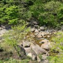 지리산 계곡 노아펜션 네이버블로그