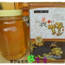 범천2동-11 이미지