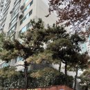 광나루 세탁소 이미지