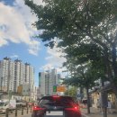 프랭크버거 조양점 | 여름휴가: 강원도 속초_속초관광수산시장 / 게싸다구! / 프랭크버거 속초조양점 / 정돈이네 회짱포차