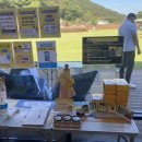 소중한 댕 이미지