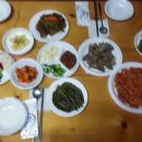 토브의강가펜션