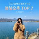 단댕 | [2022 올해의블로거대상] 국내여행 콘텐츠 분야 TOP7 선정!