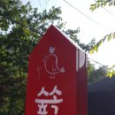숲속시골닭