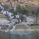 한장미아파트 이미지