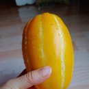 신일청과 네이버블로그
