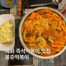 봉쥬떡볶이 | 곽범 유튜브 인간과 기계의 대결대결 [인기맛집-떡볶이편], 혜화 즉석떡볶이 봉쥬떡볶이 내돈내산 후기
