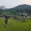 읍내1통 이미지