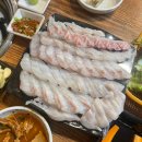 활어특별시 이미지