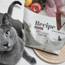 이쎄븐 유한회사 이미지