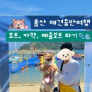한국지엠 울산서비스센터 | 울산 애견동반여행 | 멍콕과 함께한 반려견 요트 투명카약 후기