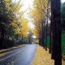 지라은목장 이미지