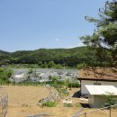 용문농장 이미지