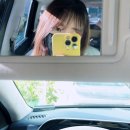 위플레이 태권도장 | 블챌 ) 지난주 나의 일상 스따뜨