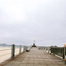 나림횟집 | 양양 남애항 모듬회 맛집 추천, 나림횟집 3호 내돈내산 후기!