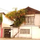 자인시외버스정류장 이미지